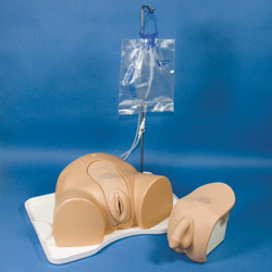 Simulator for male and female catheterisation